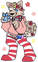 New Carnation Reference made by ilovedavemiller